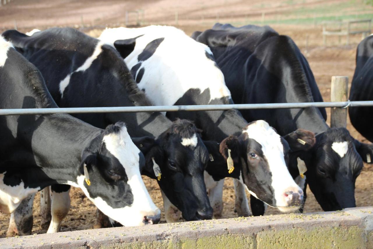 Potteberg Guest Farm